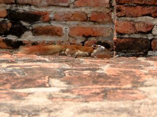DSCF0682_R.JPG